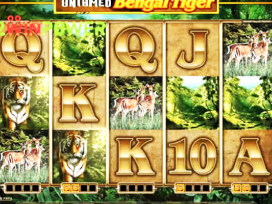 €4855 NO DEPOSIT CASINO BONUS at Joy Casino